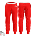 Airblastoff Lions 14236654 Joggers - 3