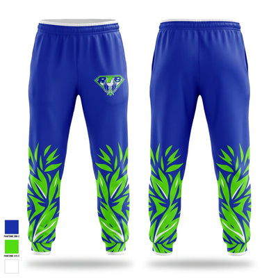 Raise the Bar Sweatpants - 2