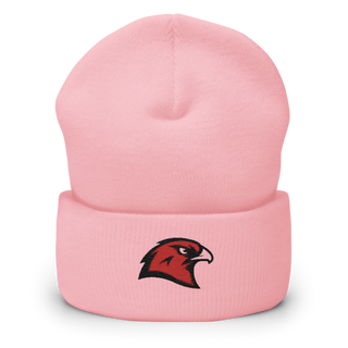 BHS Hawks Dance Team 44132448 Cuffed Beanie | Yupoong 1501KC