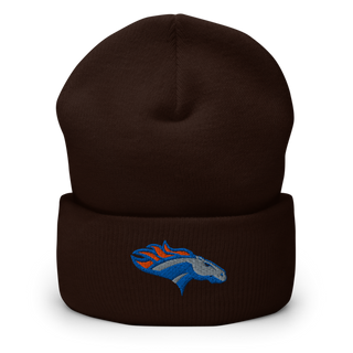 SUNY Orange Golf 10827581 Cuffed Beanie | Yupoong 1501KC