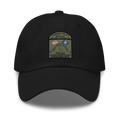 CT DMV Dad hat