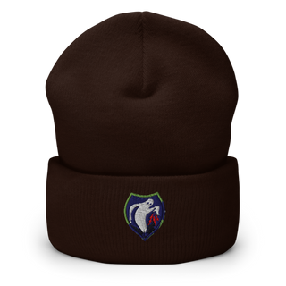 340th Psyop Co. 52894625 Cuffed Beanie | Yupoong 1501KC