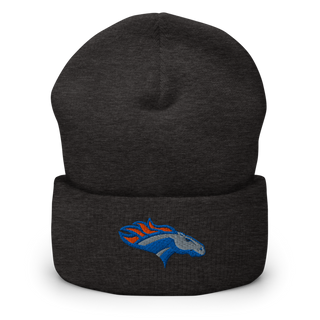 SUNY Orange Golf 10827581 Cuffed Beanie | Yupoong 1501KC