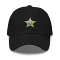 Financial Crimes Dad hat