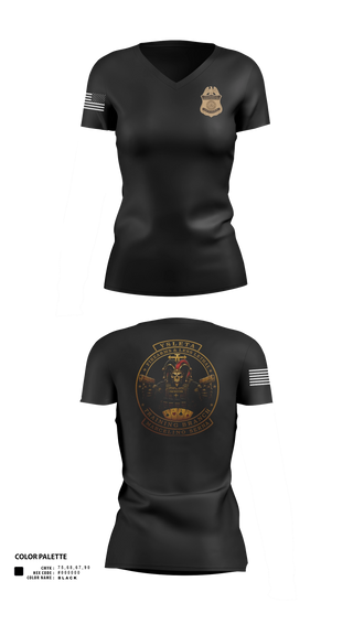 Womens Short Sleeve Vneck Shirt, Firearms Instructor, Police, Teamtime, Team time, sublimation, custom sports apparel, team uniforms, spirit wear, spiritwear, sports uniforms, custom shirts, team store, custom team store, fundraiser sports, apparel fundraiser