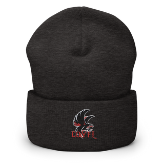 Carteret-Onslow Youth Football & Cheer League (COYFL) Falcons 65584238 Cuffed Beanie | Yupoong 1501KC