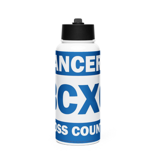 Brookfield Central Stainless Steel Water Bottle with a Straw Lid