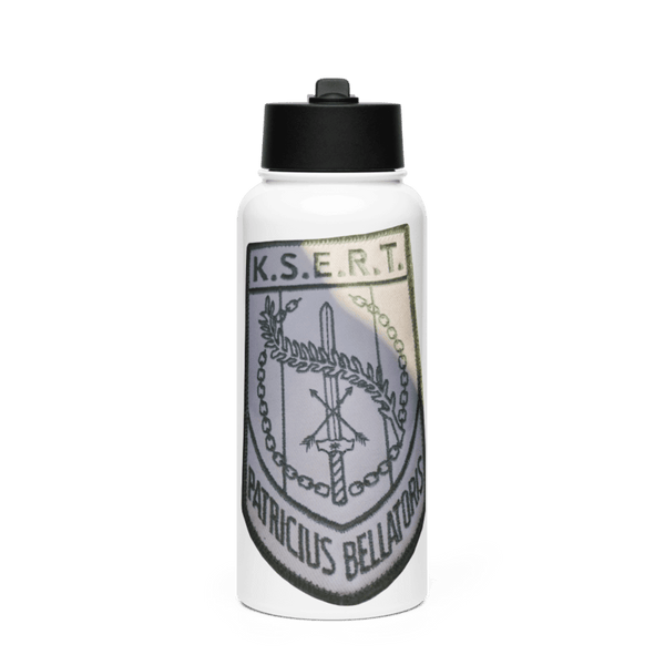 Paladins 72254889 Stainless Steel Water Bottle with a Straw Lid