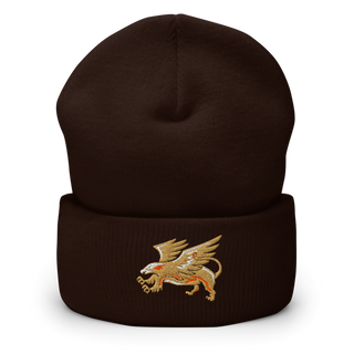 The Palmdale Aerospace Academy Cross Country 45679690 Cuffed Beanie | Yupoong 1501KC