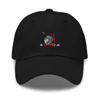 Southeastern Trojans 23685294 Classic Dad Hat | Yupoong 6245CM