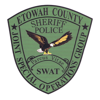 Etowah County JSOG 23168603 Stainless Steel Water Bottle with a Straw Lid