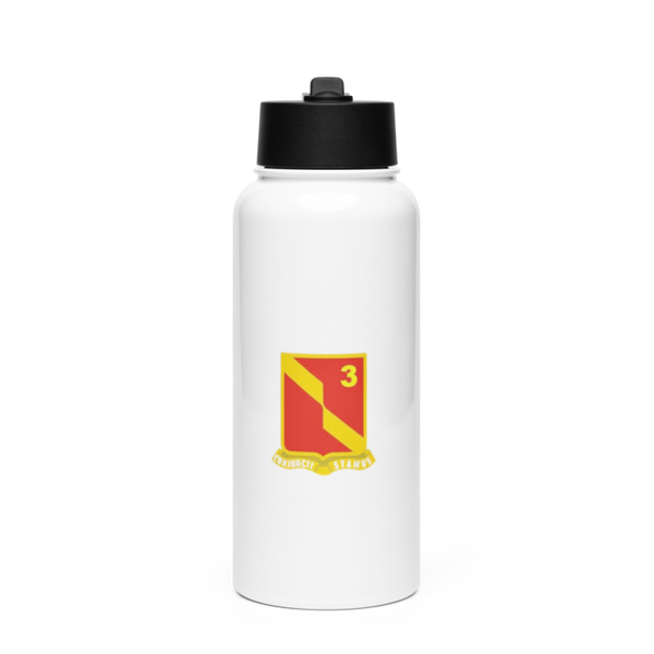 3-27 68507802 Stainless Steel Water Bottle with a Straw Lid