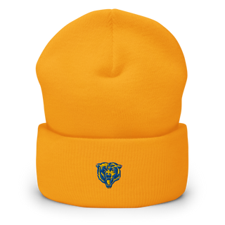 Wynyard Composite High School 42182962 Cuffed Beanie | Yupoong 1501KC