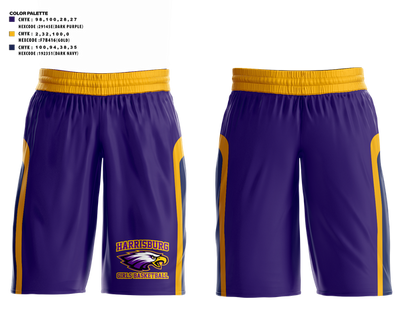 Harrisburg High School Girls Basketball 74185952 Baseball Pants - 1
