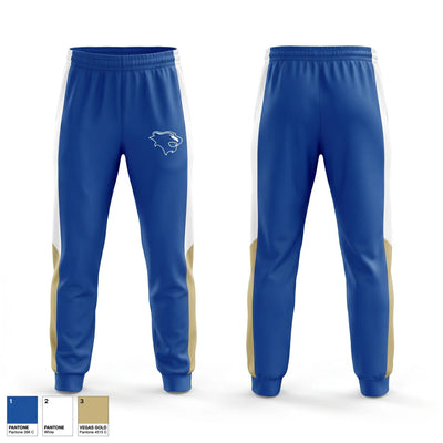 LIONS Sweatpants - 1