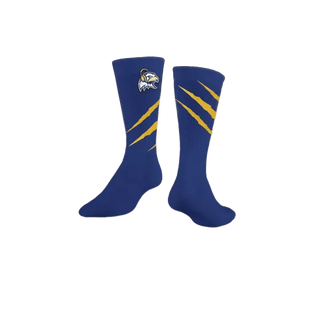 Custom Socks, HHS Eagles Esports, E-Sports, Teamtime, Team time, sublimation, custom sports apparel, team uniforms, spirit wear, spiritwear, sports uniforms, custom shirts, team store, custom team store, fundraiser sports, apparel fundraiser