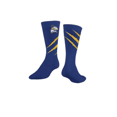 HHS Eagles Esports 57106058 Custom Socks - 1