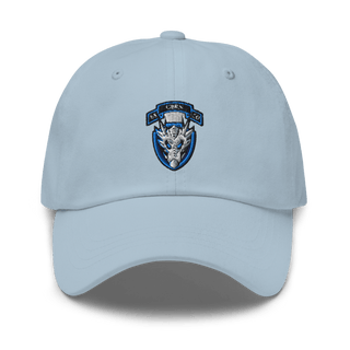 1st Platoon, 95th CBRN 66149028 Classic Dad Hat | Yupoong 6245CM