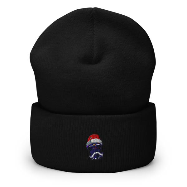 Flava107.Com 43004719 Cuffed Beanie | Yupoong 1501KC