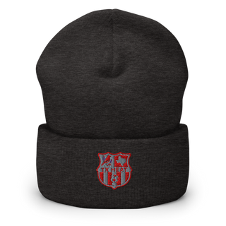 TX HEAT 2370396 Cuffed Beanie | Yupoong 1501KC