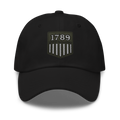 IPD/USMS TF Dad hat