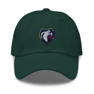 340th Psyop Co. 52894625 Classic Dad Hat | Yupoong 6245CM