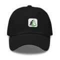Del Webb Dad hat