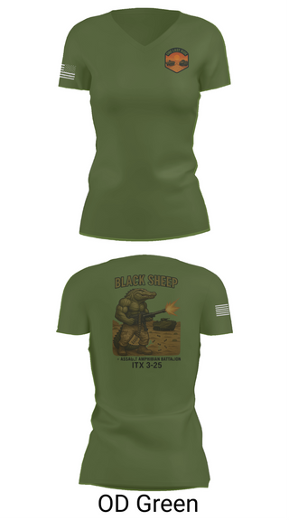 Womens Short Sleeve Vneck Shirt, 4th Assault Amphibian Battalion, Company B, , Teamtime, Team time, sublimation, custom sports apparel, team uniforms, spirit wear, spiritwear, sports uniforms, custom shirts, team store, custom team store, fundraiser sports, apparel fundraiser