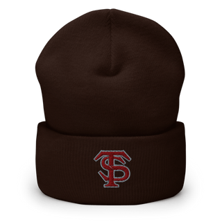 Seymour Tigers Baseball 13468002 Cuffed Beanie | Yupoong 1501KC