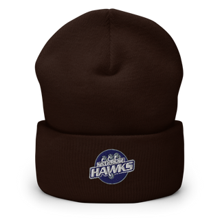 Hawks Cuffed Beanie | Yupoong 1501KC