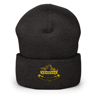 6-8 CAV 64955862 Cuffed Beanie | Yupoong 1501KC