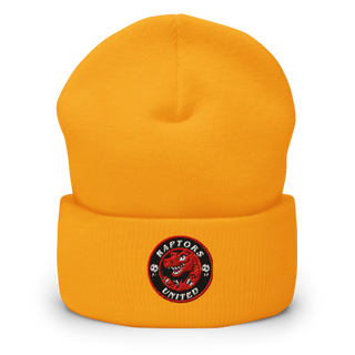 Raptors United 87880820 Cuffed Beanie | Yupoong 1501KC