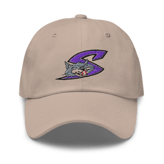 Falcon Middle School Basketball 65038956 Classic Dad Hat | Yupoong 6245CM