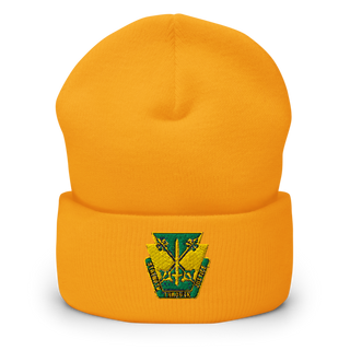 165th MP Battalion 62240089 Cuffed Beanie | Yupoong 1501KC