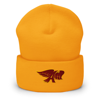 Ankeny High School Dance Team 22157319 Cuffed Beanie | Yupoong 1501KC