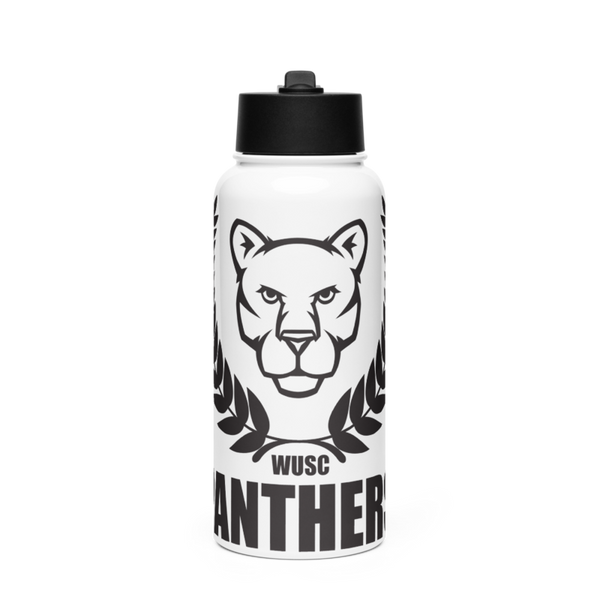 Panthers 50004080 Stainless Steel Water Bottle with a Straw Lid