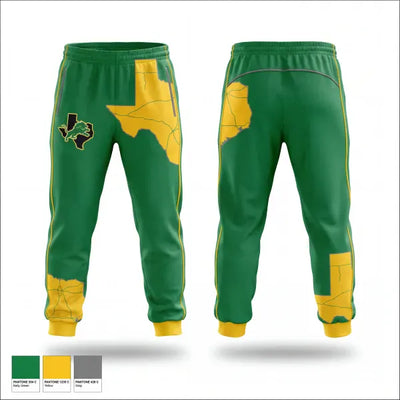 Dublin Lions Track & Field 11398902 Sweatpants - 1