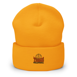 Tigers Cuffed Beanie | Yupoong 1501KC