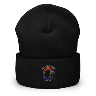 TED STEVENS 69093097 Cuffed Beanie | Yupoong 1501KC