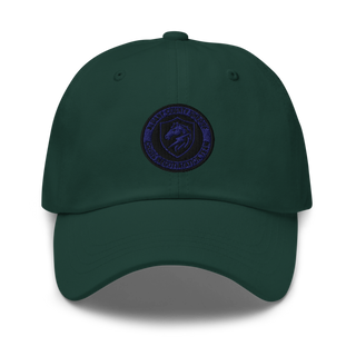 CNT 18227256 Classic Dad Hat | Yupoong 6245CM