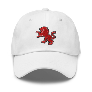 Dulaney Lions Baseball 10641314 Classic Dad Hat | Yupoong 6245CM
