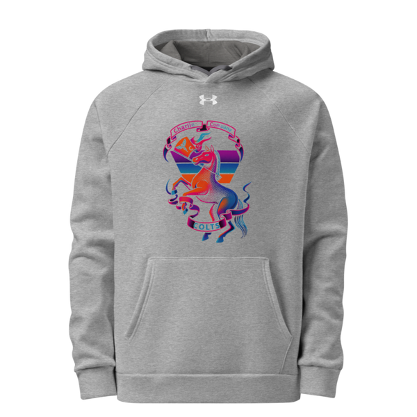 C co Pharmacy 43163891 Under Armour Hoodie