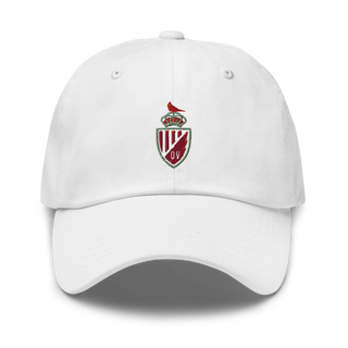 Orchard View High School Classic Dad Hat | Yupoong 6245CM