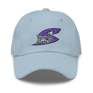 Falcon Middle School Basketball 65038956 Classic Dad Hat | Yupoong 6245CM