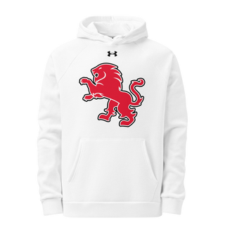 Dulaney Lions Baseball 10641314 Under Armour Hoodie