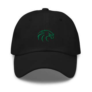 NSU Riverhawks Football 89263546 Classic Dad Hat | Yupoong 6245CM