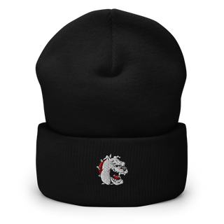 La Plata R-2 Cross Country 78923726 Cuffed Beanie | Yupoong 1501KC