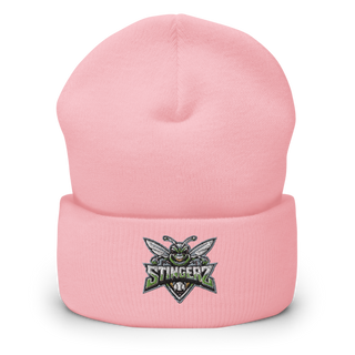 STINGERZ 4730031 Cuffed Beanie | Yupoong 1501KC