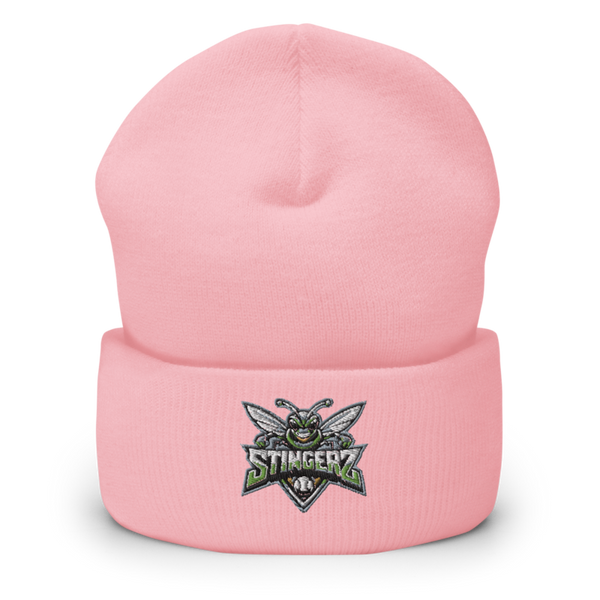 STINGERZ 4730031 Cuffed Beanie | Yupoong 1501KC