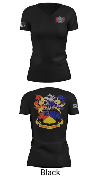 Womens Short Sleeve Vneck Shirt, , , Teamtime, Team time, sublimation, custom sports apparel, team uniforms, spirit wear, spiritwear, sports uniforms, custom shirts, team store, custom team store, fundraiser sports, apparel fundraiser